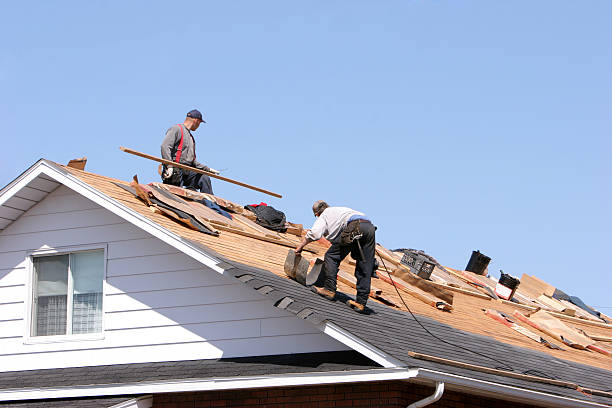 Siding Services in La Feria, TX